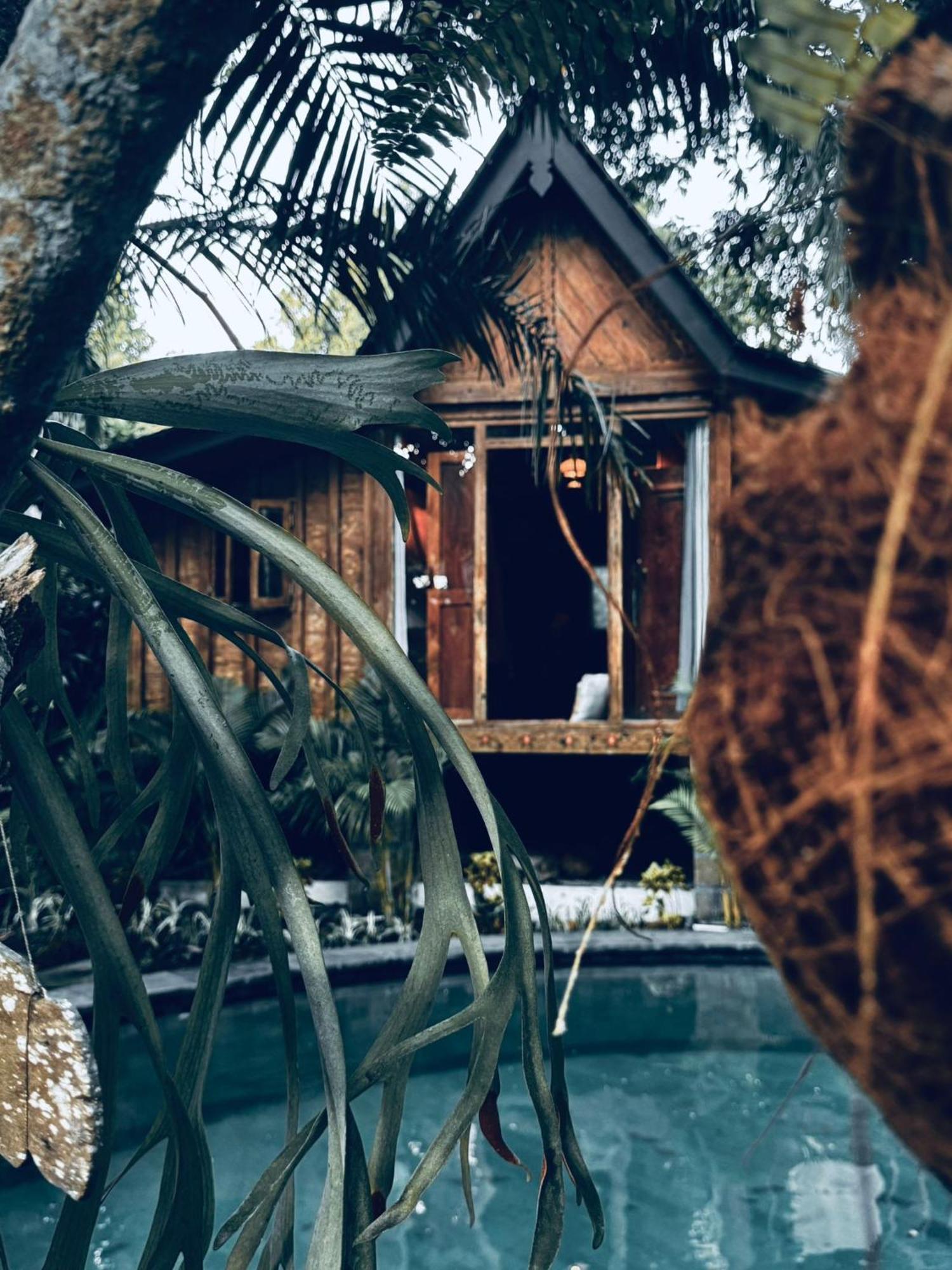 Resort Jungleroom Canggu Extérieur photo